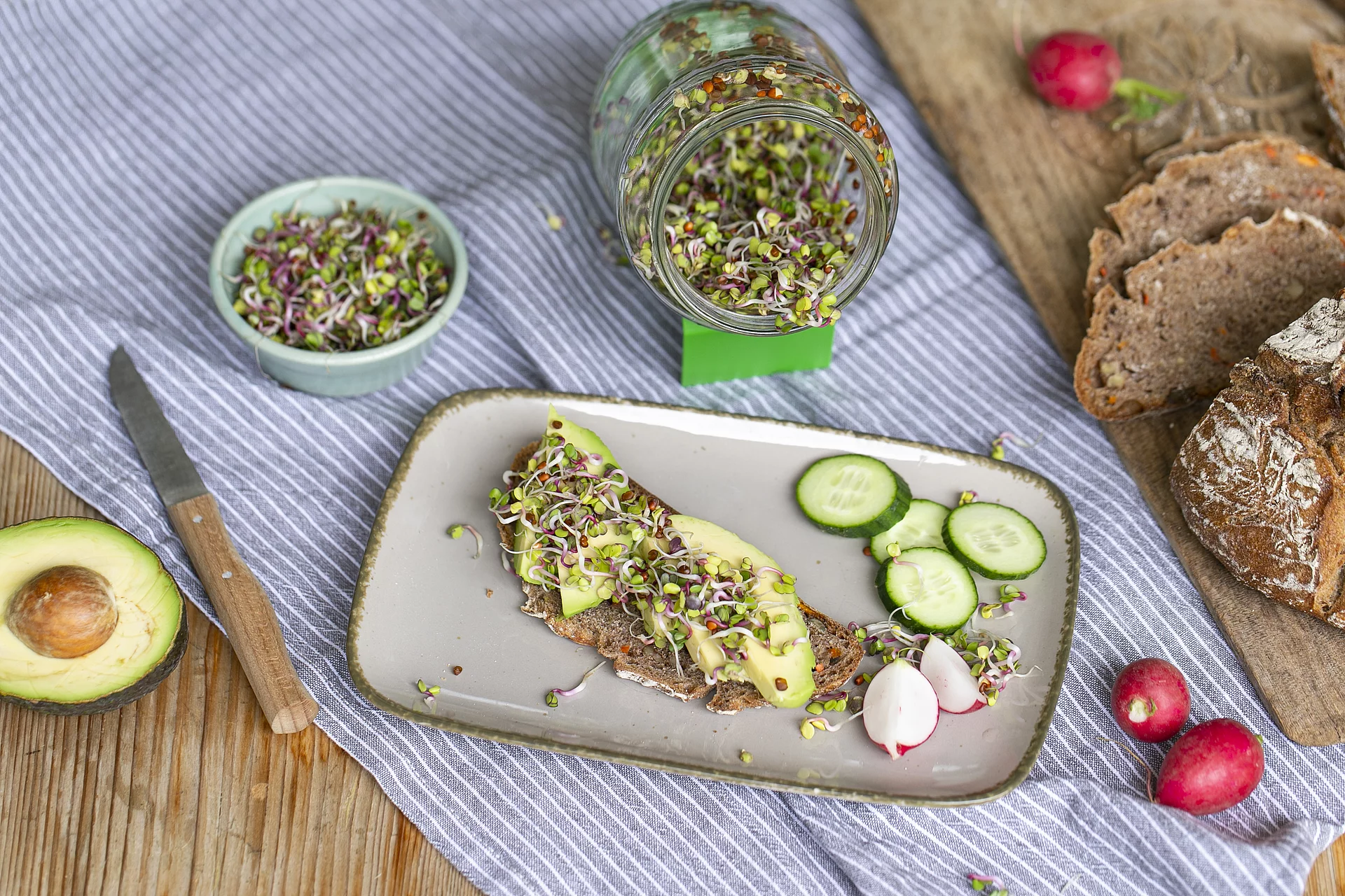 Sprossenbrot mit Radieschensprossen, Avocado und Gurke.