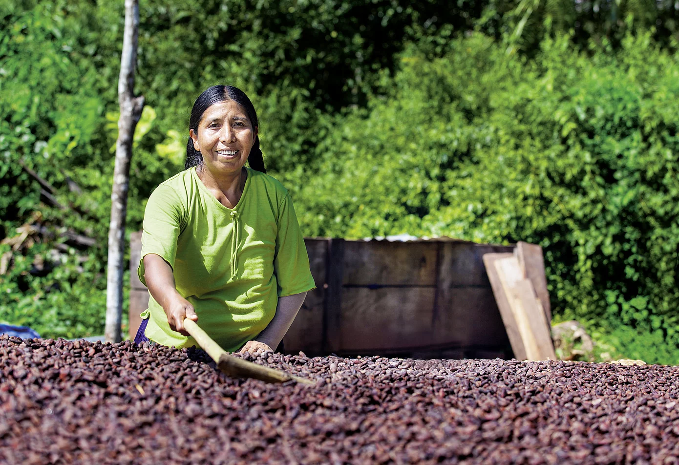 El Ceibo und bio-fairer Kakao aus Bolivien (HAND IN HAND).