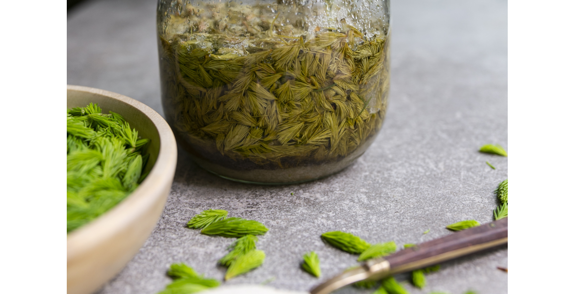 Tannenwipfelsirup